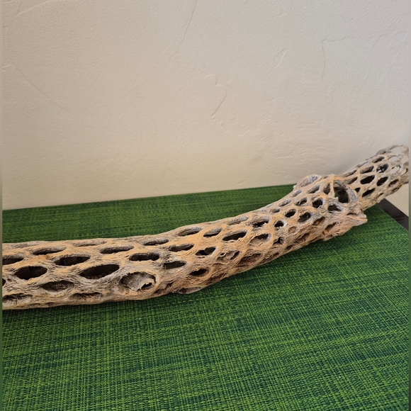 Cholla wood for Lizard tank or air plant decor - Picture 2 of 2